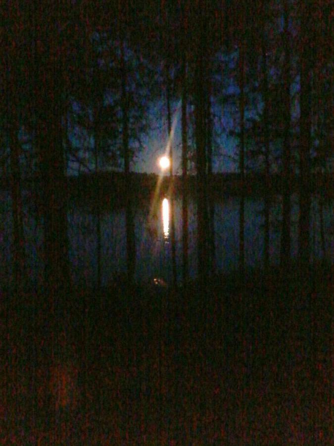 Villa Nina Luikonlahti Eksteriør billede